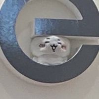 蘇洗蘇洗🍣各式日本代購🥝