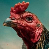 🐓พจน์ แหล่งพัฒนาพม่าเบอร์แข้ง🐓
