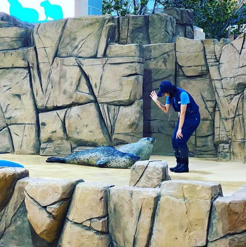 桃園青埔X Park -與眾同樂