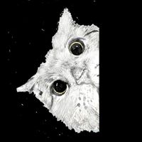 徵：貓鏟官🐈喵小妞🐈豆腐砂🐈