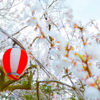 The宮城県大崎市情報館