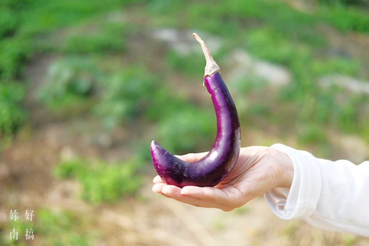 左鎮鹿兒島-妳好南搞-09