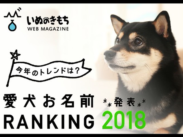 オスメス犬種別 犬の名前ランキング18 いぬのきもち いぬのきもちnews