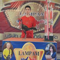 ราชาชัย 895