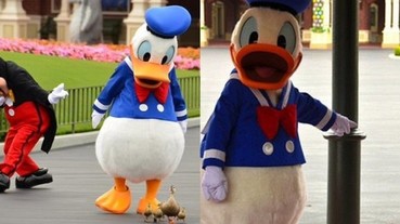 網友拍到唐老鴨開心跟米奇說：「是鴨子耶！」 你忘記了自己也是一隻鴨子嗎？