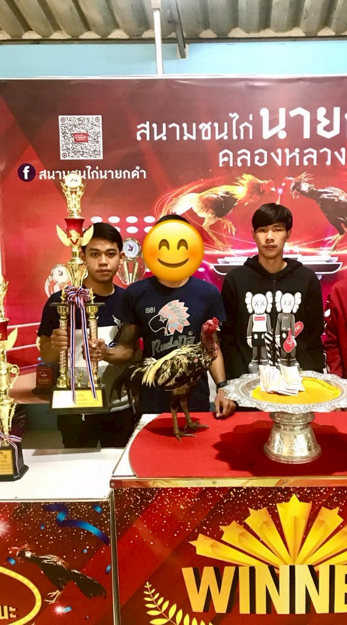 ตลาดซื้อขายไก่ชนวัดดวงคัดผ่าน🐓💯