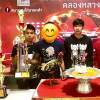ตลาดซื้อขายไก่ชนวัดดวงคัดผ่าน🐓💯