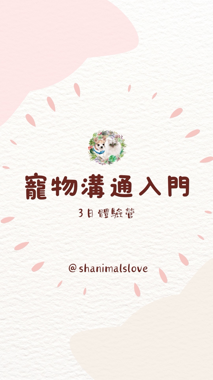 🐶寵物溝通入門3日體驗營🐱來聽毛孩說