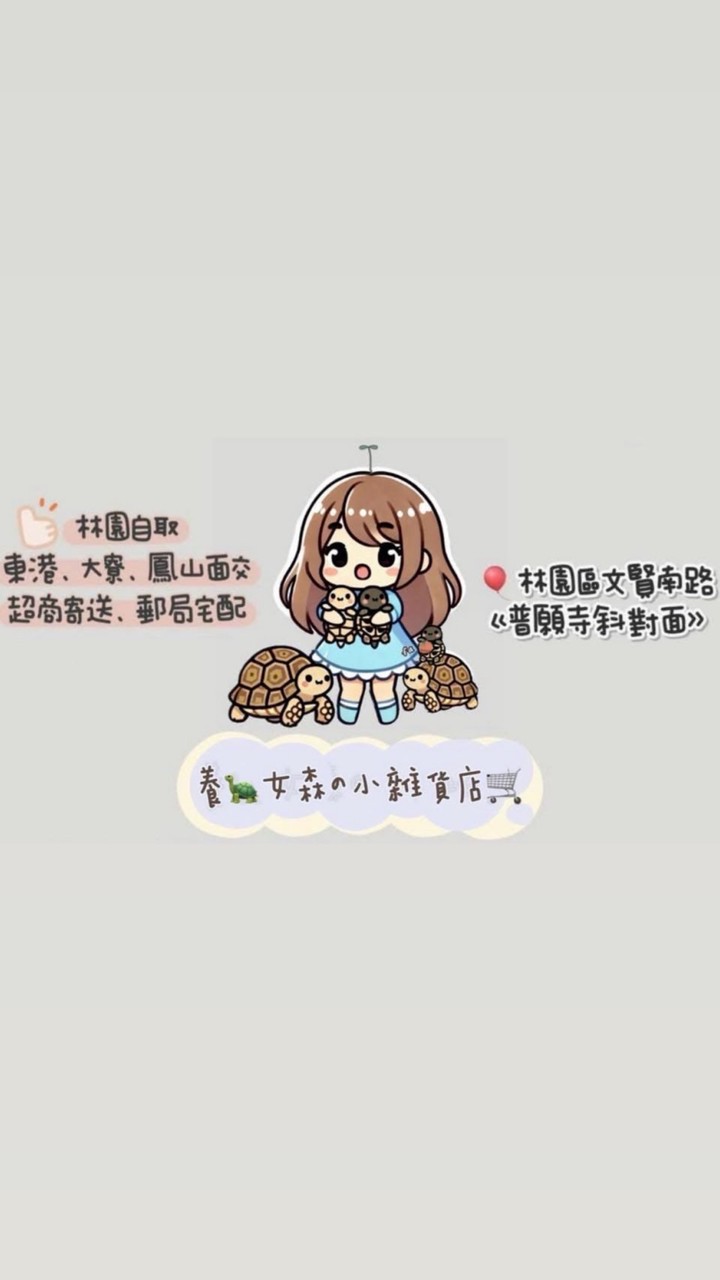 養🐢女森の小雜貨店「圖文專區」🛒✨