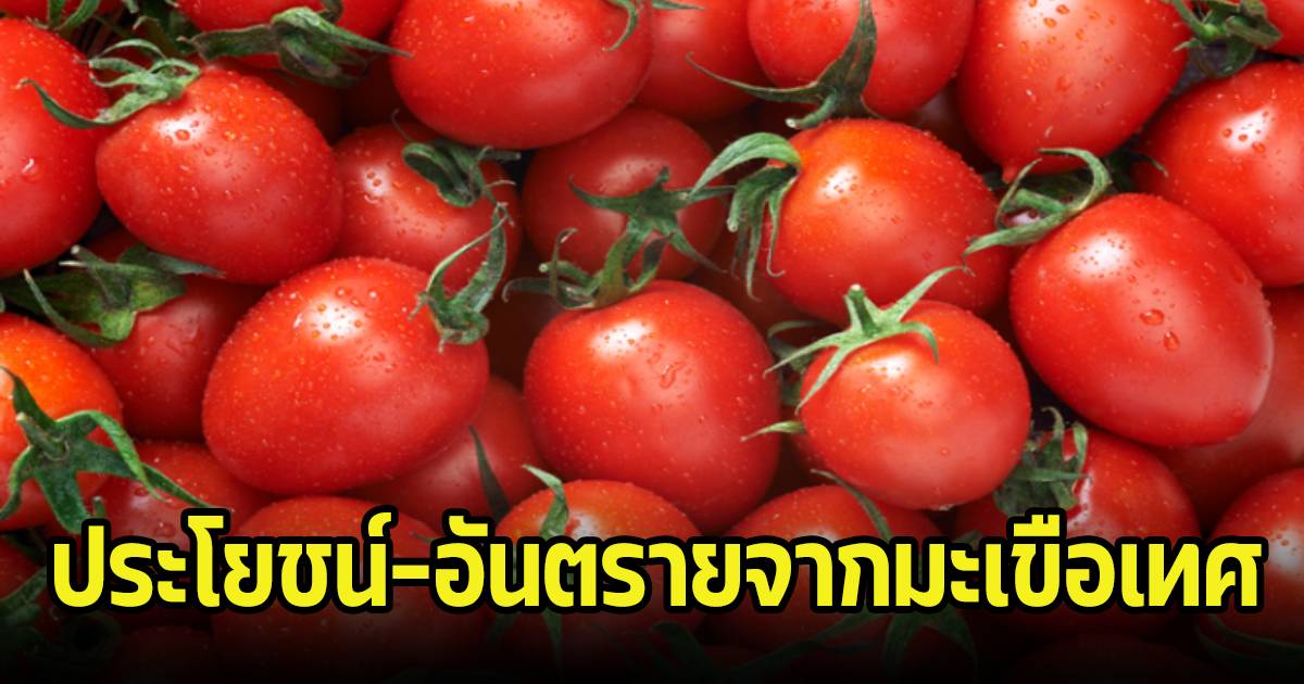 The Power of Tomatoes: Unveiling the Health Benefits and Dangers of ...