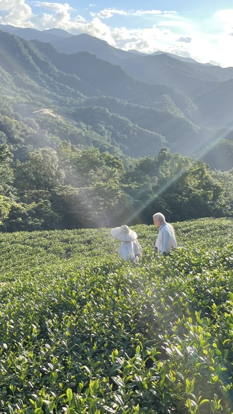 銘記茶棧🌱坪林