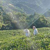 銘記茶棧🌱坪林