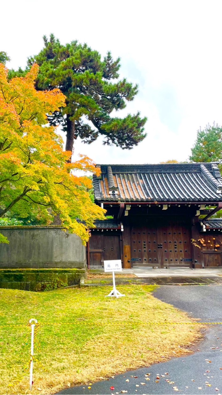 皇居ラン