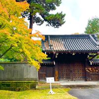 皇居ラン