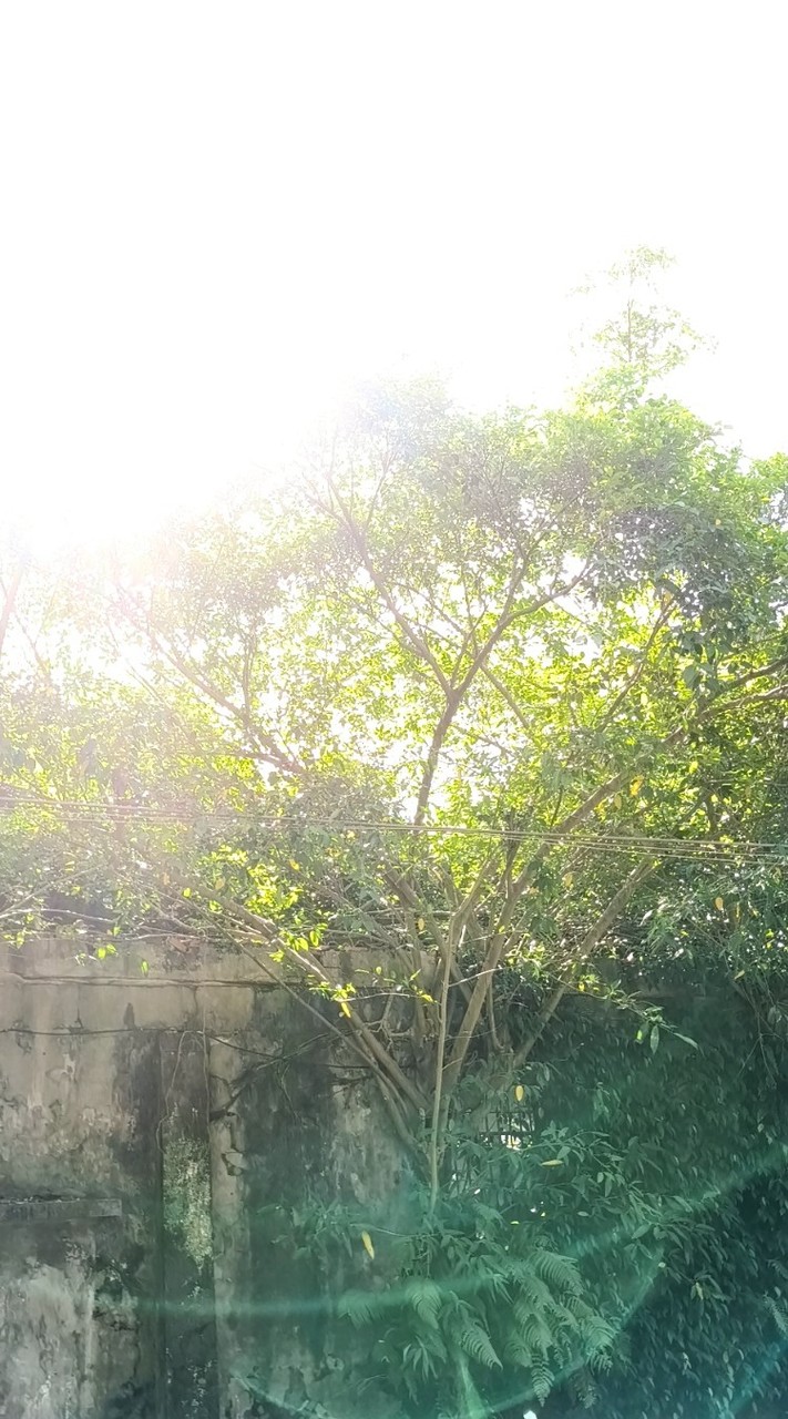 健康生命長照人生推薦團