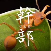 VAL幹部