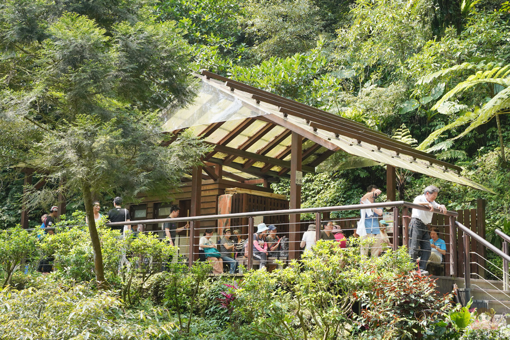宜蘭.礁溪 臺灣的抹茶冰淇淋山，網美級小百岳仙境，挑戰聖母山莊步道，順收五峰旗瀑布