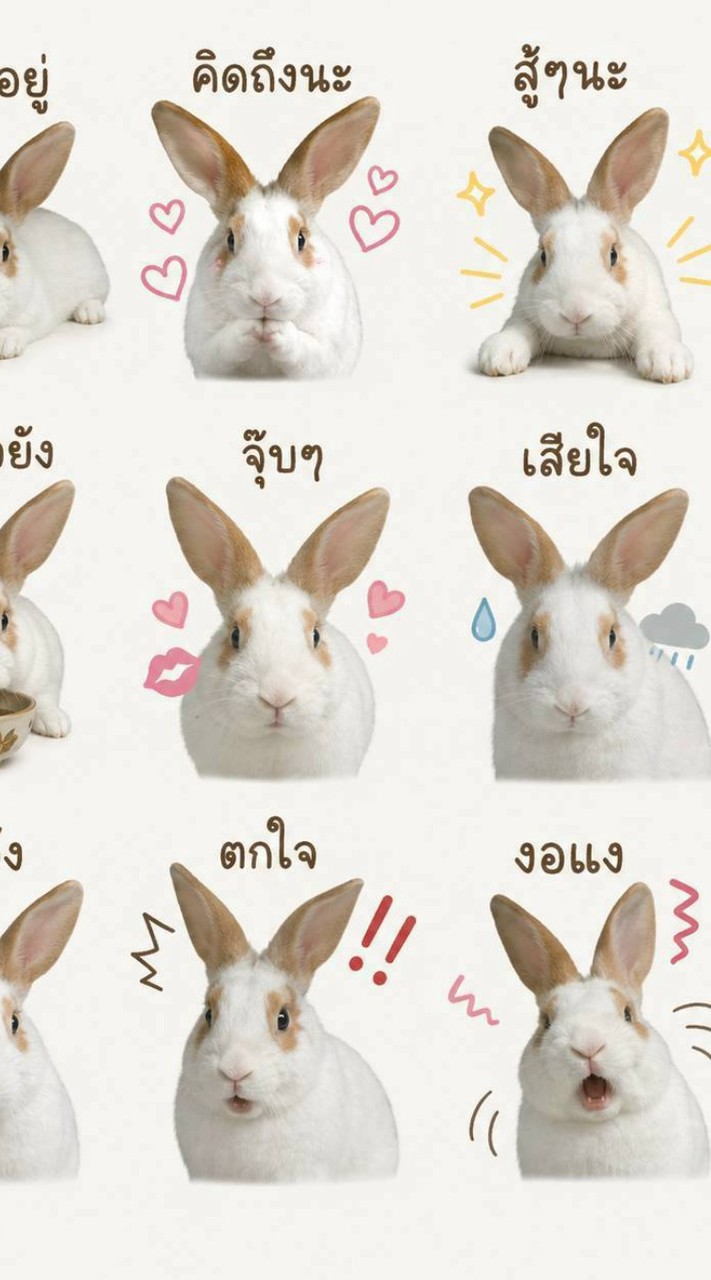 หาแฟน คุยเล่น มีแฟนได้