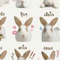 หาแฟน คุยเล่น มีแฟนได้
