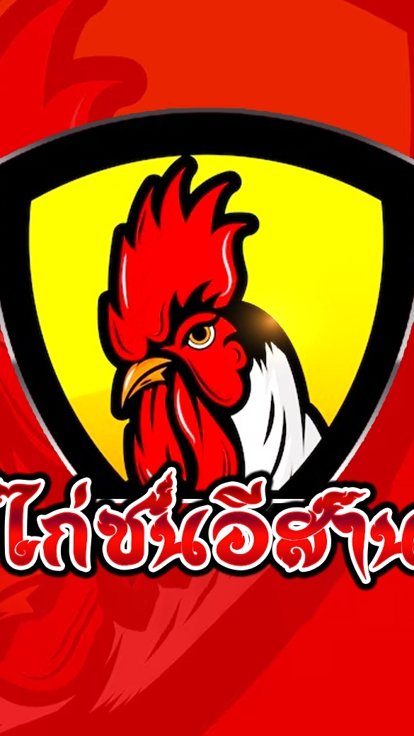 ข่าวสารไก่ชน&ข้อมูลไก่ชน