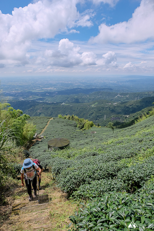 山女孩Melissa_雲嘉七連峰_獨立山_大籠頂_太平山_梨子腳山-7835.jpg