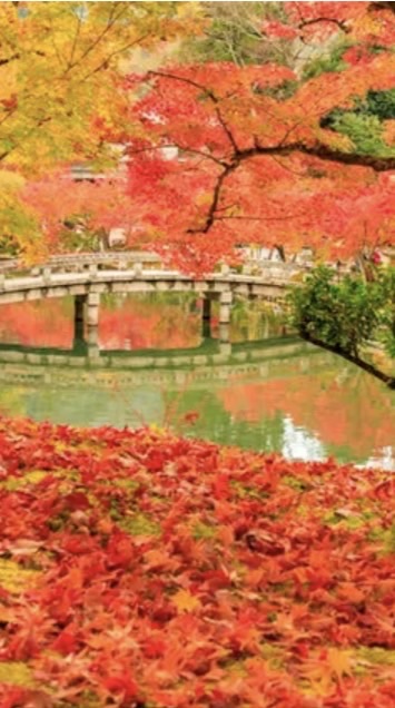 楽しく作ろう🦁　雑談💫📸