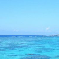 沖縄県好会🌺九州支部