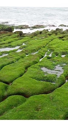 老梅實驗小學附設幼兒園公佈欄