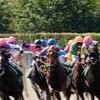 公営ギャンブル　競輪　競馬　オートレース　友達招待で無料投票！お金を使わずお金を稼ごう💰