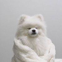 112中山醫醫社新生群