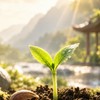 《璟瑄》關係煉金術