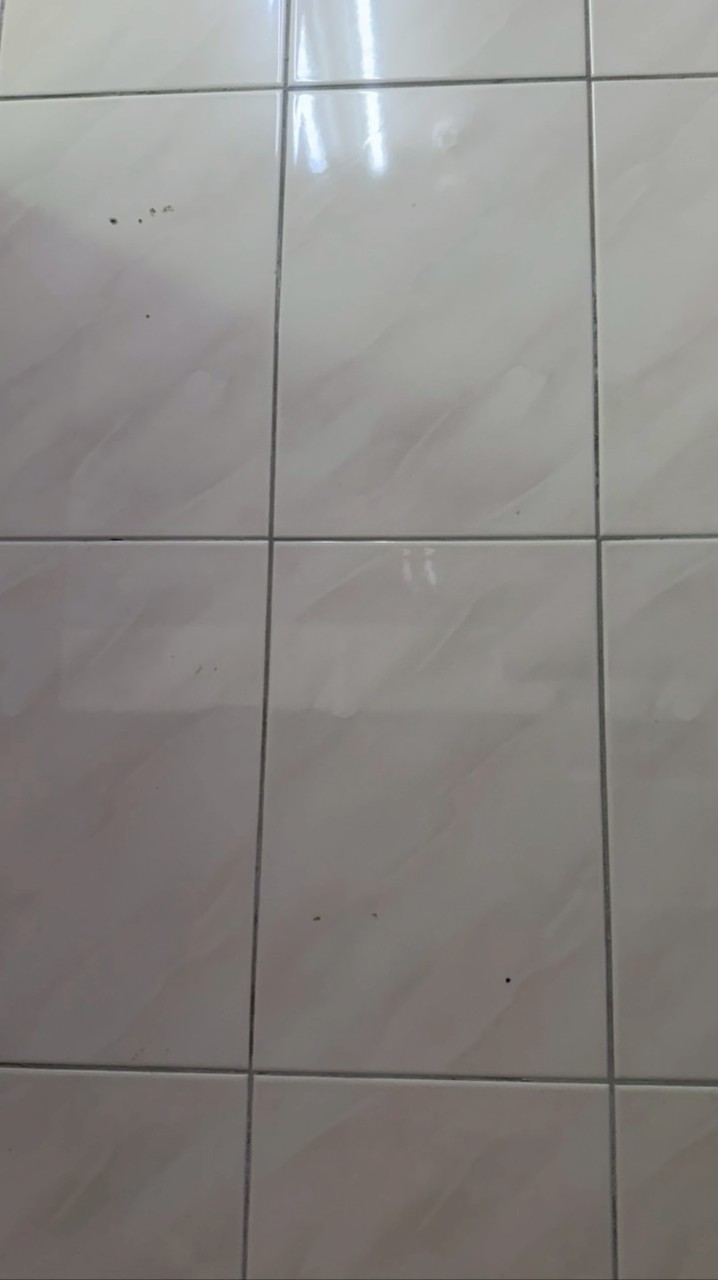 門窗維修