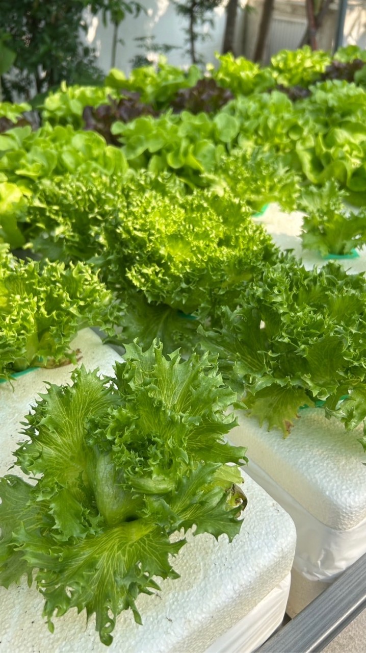 หอพักราตรี 4_30