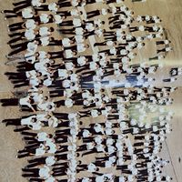 佐野高57年度卒業同窓会