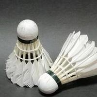 🏸羽🔥星🔥球🏸