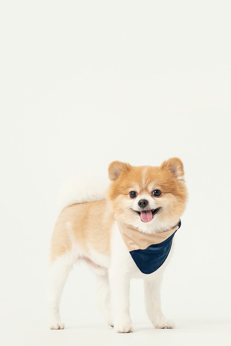 「項圈式領巾」北歐色系絨布拼接領巾，可作為項圈單一使用或是搭配領巾使用