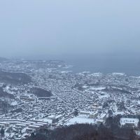 信頼できる仲間たち