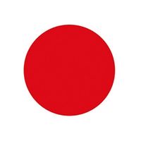 BIG HEART_瘋狂小辣椒🇯🇵嚴選✈️