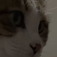 お悩み相談窓口！愚痴でもなんでもいいよ！