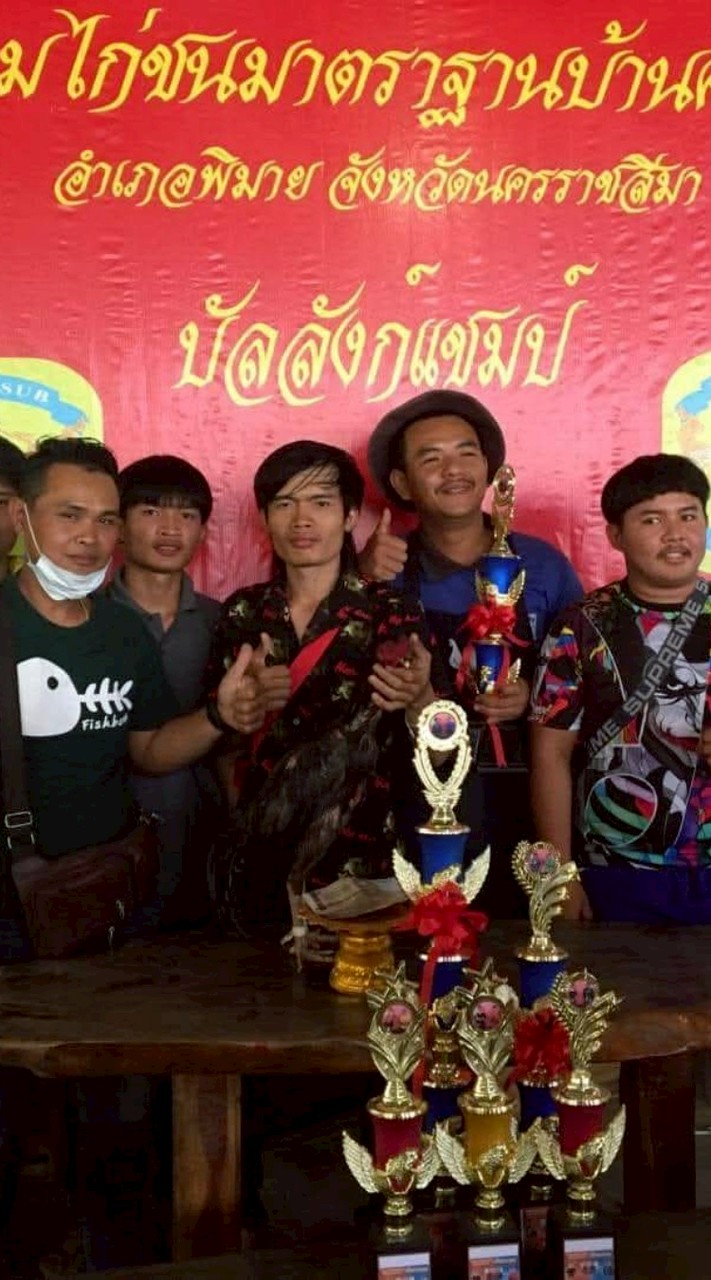 ต.เด็กดื้อ ป่าก๋อยพัฒนา