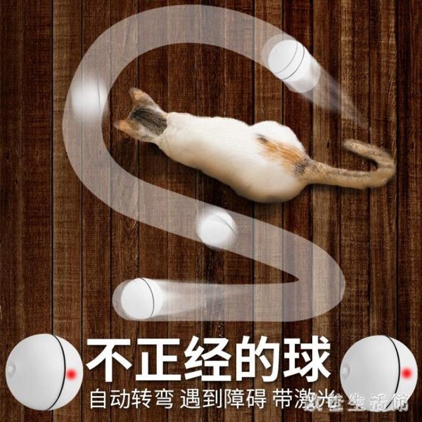 貓咪逗貓玩具 智能閃光燈滾動球激光電動貓玩具球寵物貓咪用品 zh6281【歐爸生活館】