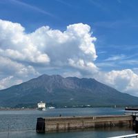 かごしまグランドビジョン協議会