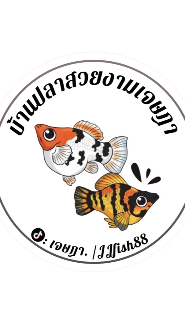 บ้านปลาสวยงามราคาถูก🐟☺️🐟
