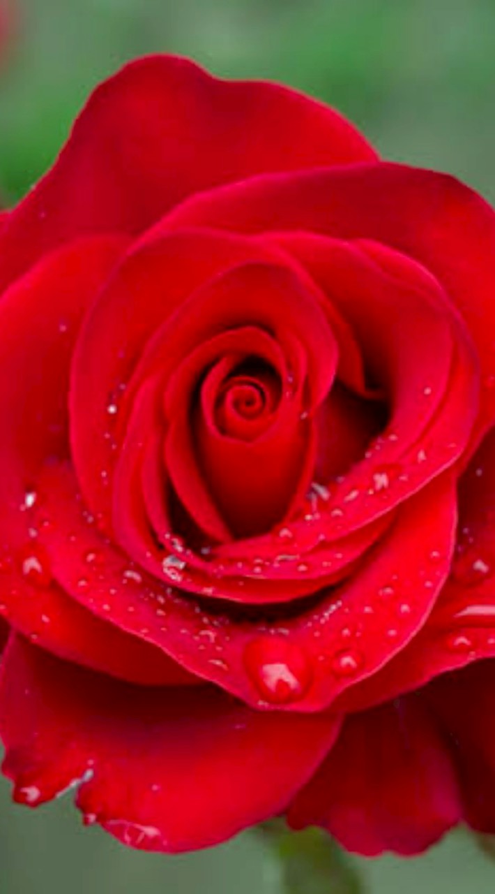 2568ตัวแทนนักเรียนแต่ละห้อง