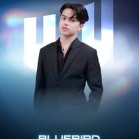 Best Bluebird Trader