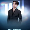 Best Bluebird Trader