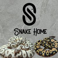 Snake home บ้านงูบอลไพธ่อน