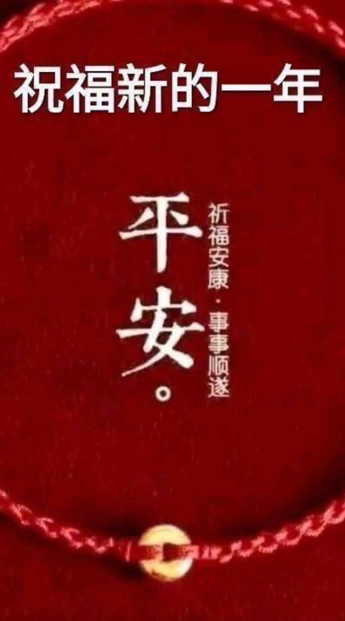 台灣粉鳥！《老夫鴿族》純早期老鴿系！