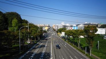 藏身於橫濱市的龍貓