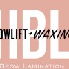 #hollywoodbrowlift